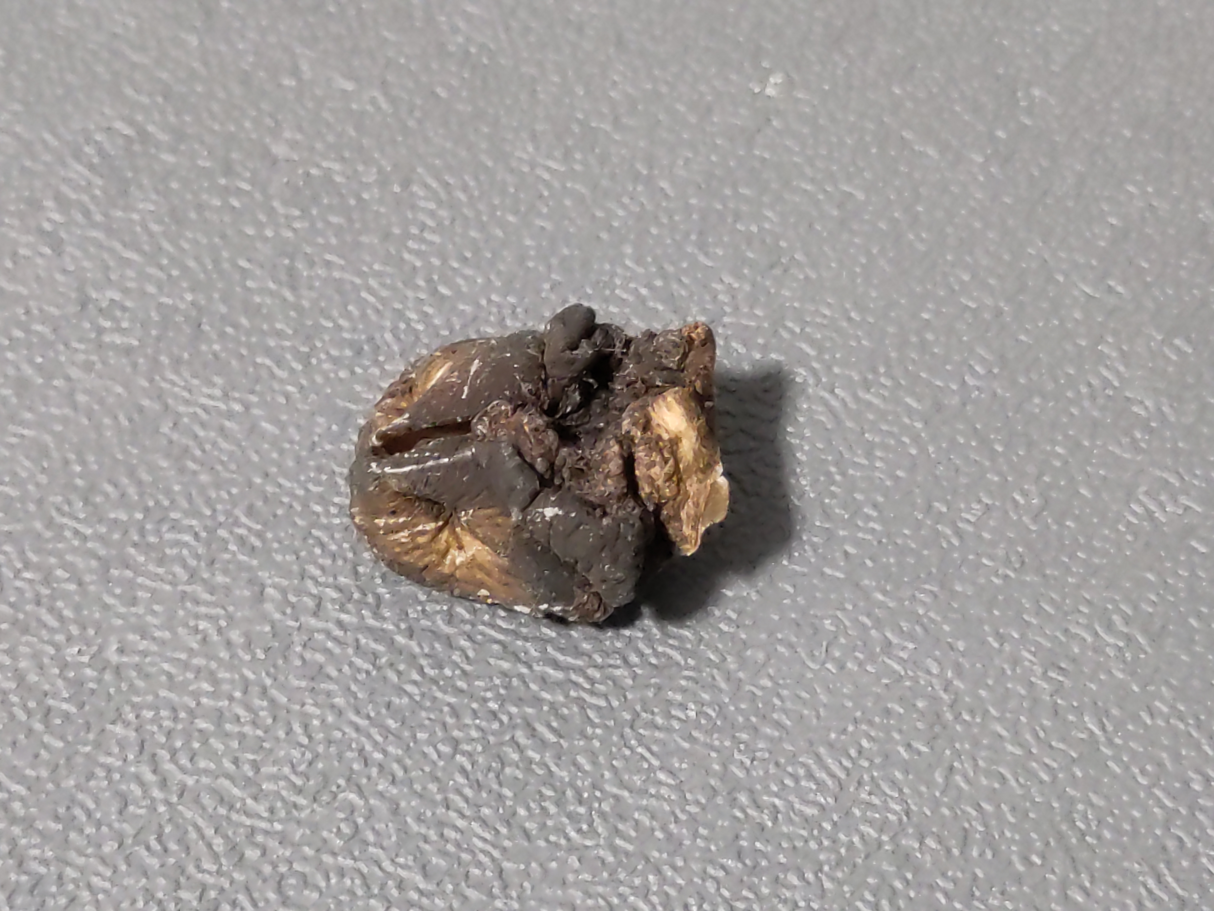 A shrivelled, darkened chunk of flesh