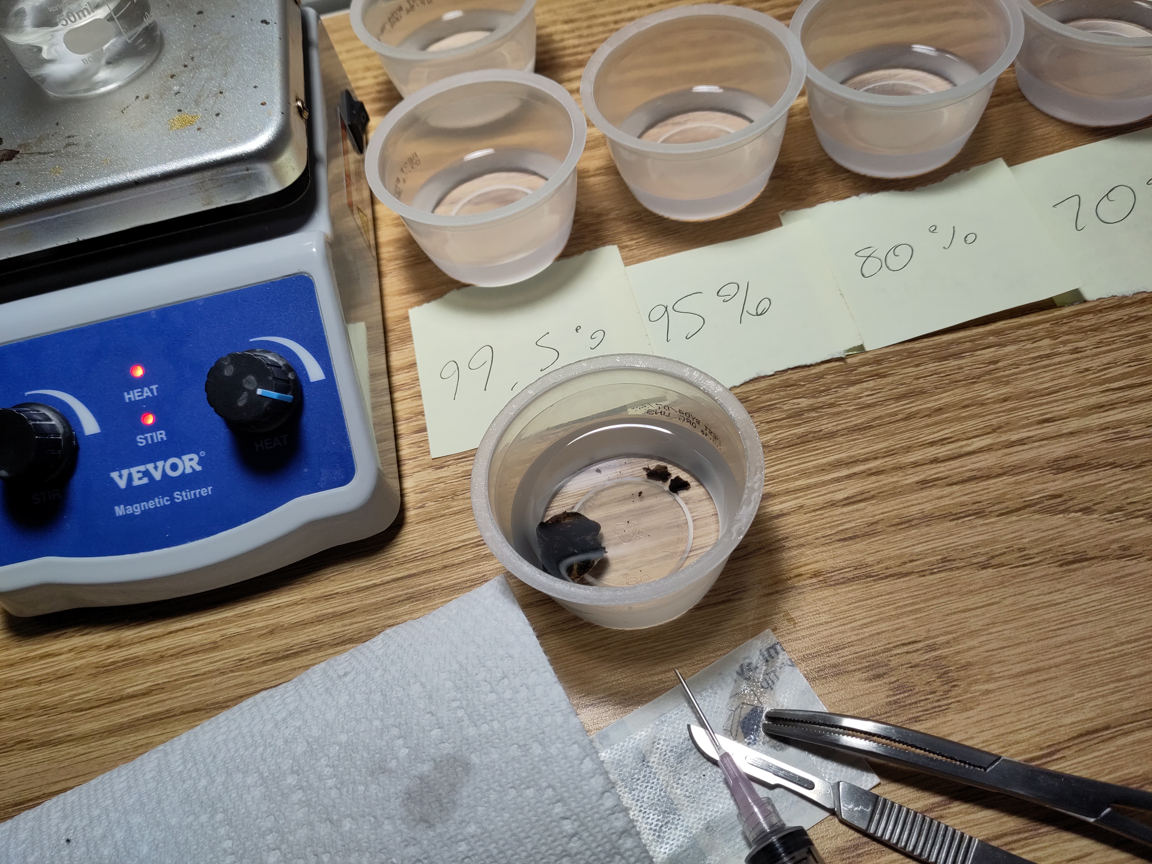 Chunks of flesh in cups of clear chemicals
